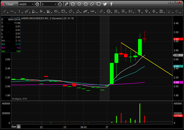 bull flags2 - Day Trading & Momentum Strategies For The Stock Market