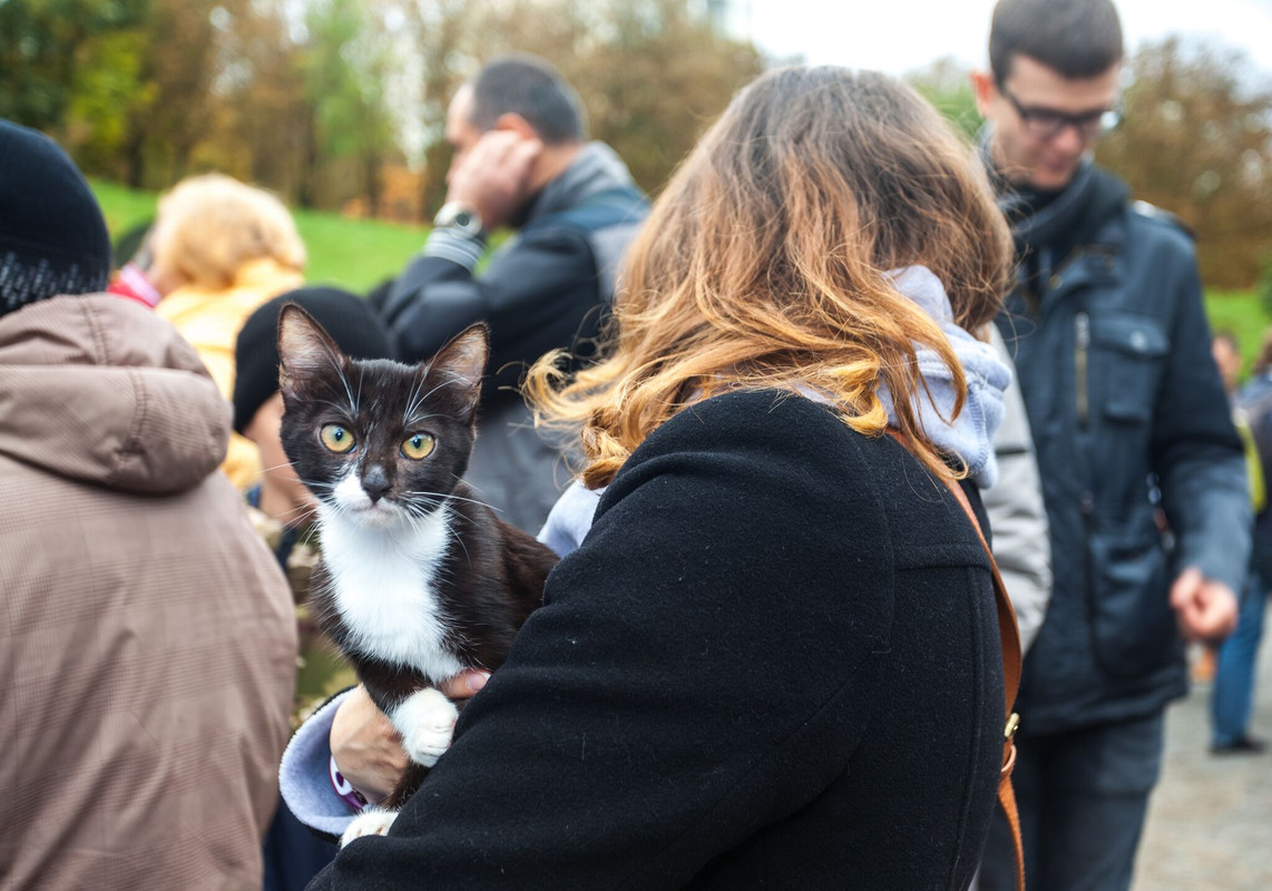 EACEA6F8-189F-4705-AE42-302A979B2FB8