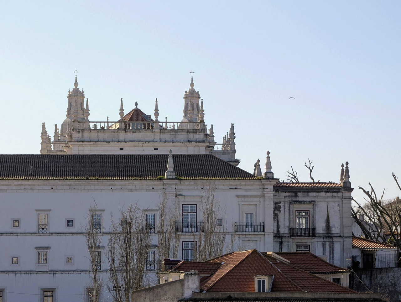 643959414 25560246723674957 914849321879593277 n