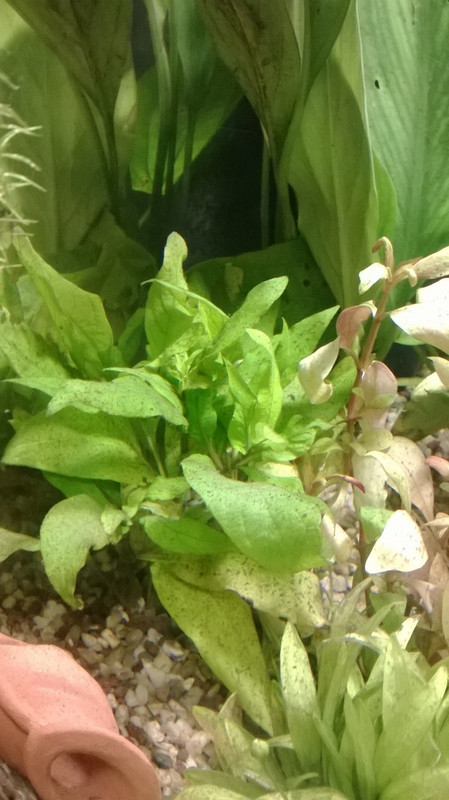 WP_20140217_004 (FILEminimizer)