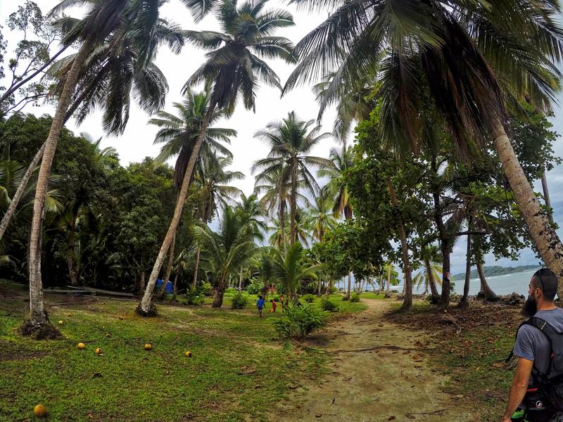 Día 5. Bocas del Toro (Panamá) - 3 semanas Costa Rica en autobús 2018 Oct (5)