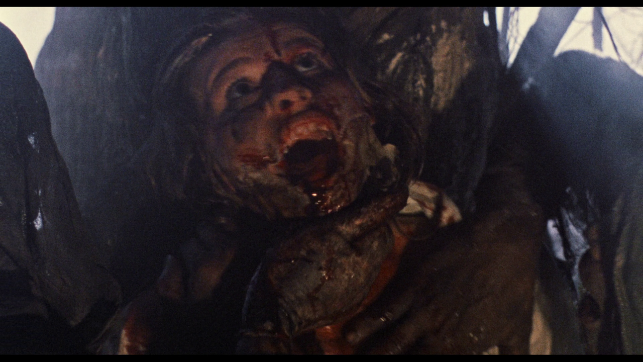 vlcsnap-2023-11-10-17h25m01s931