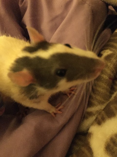 A1B104B8-F2C5-489C-8CFD-052E3D43993B