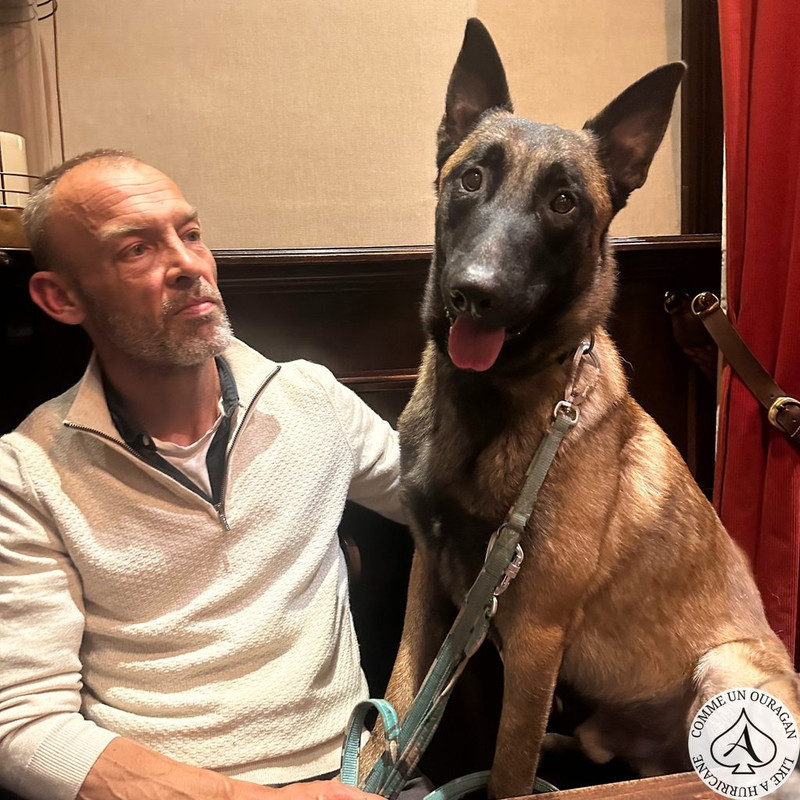 D3B3A238-7C66-4545-800F-22544E911537