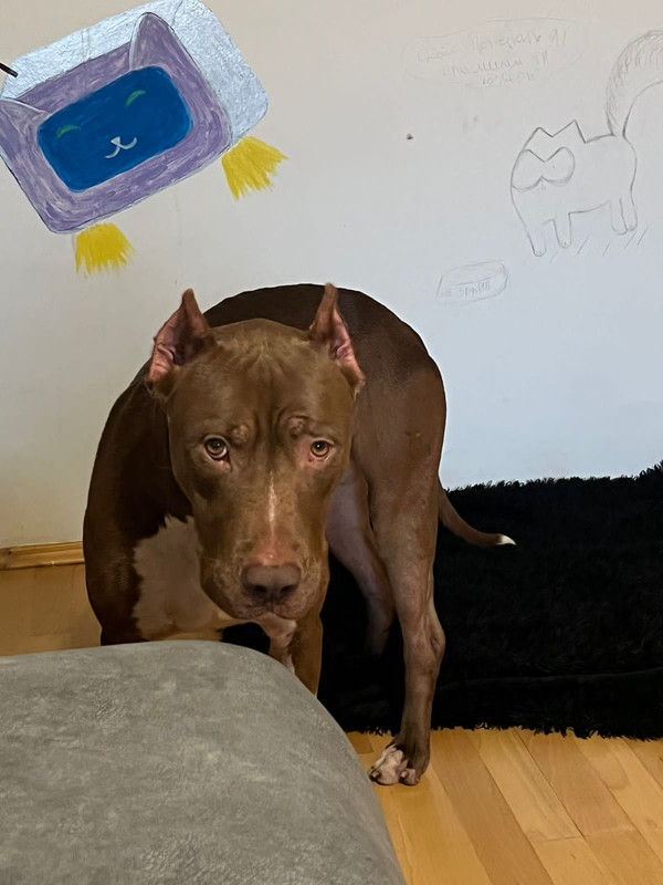 E2A1ACE4-F51F-4A6D-A8B7-7594258BC882