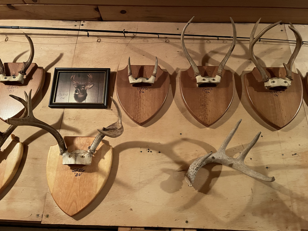 F83DA018-F745-421A-B45E-A24D4D52E3F0