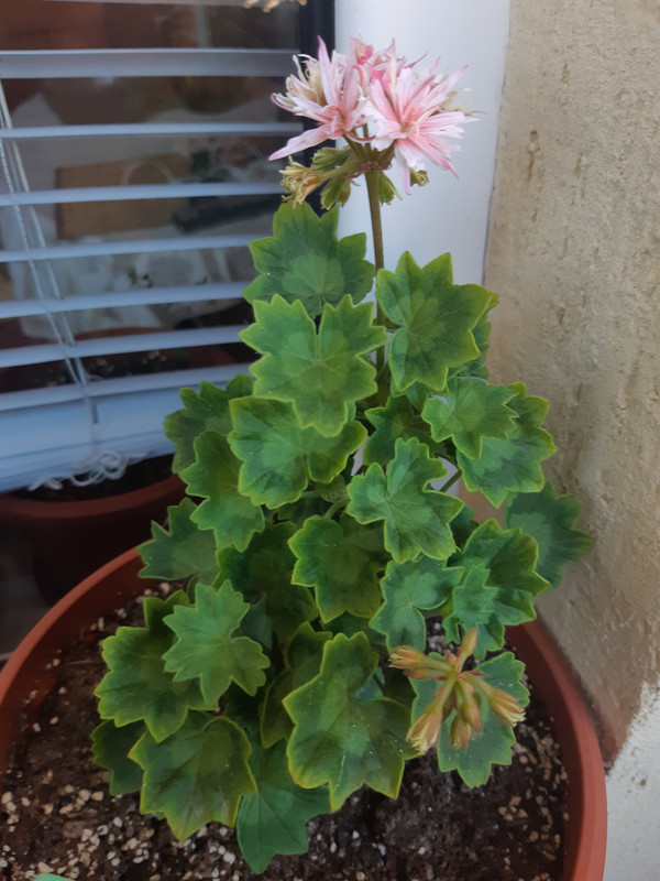 20190519_064801