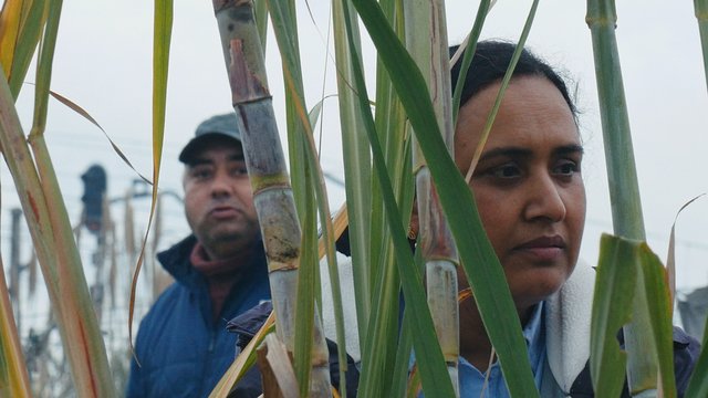 “HISTORIAS DEL BUEN VALLE”, DE JOSÉ LUIS GUERIN, A LA SECCIÓN OFICIAL DE SAN SEBASTIÁN