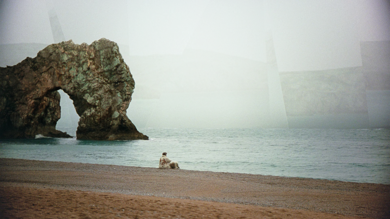 Movie cover image