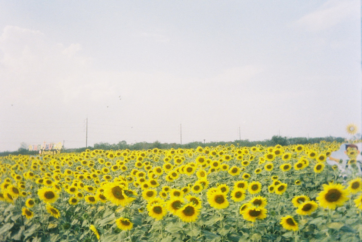 Kodak-UMHF-99-resize