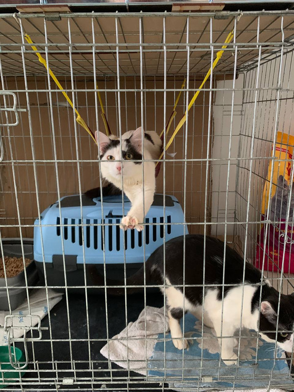 C047662D-47D9-41BE-97F6-B89A25BD729E