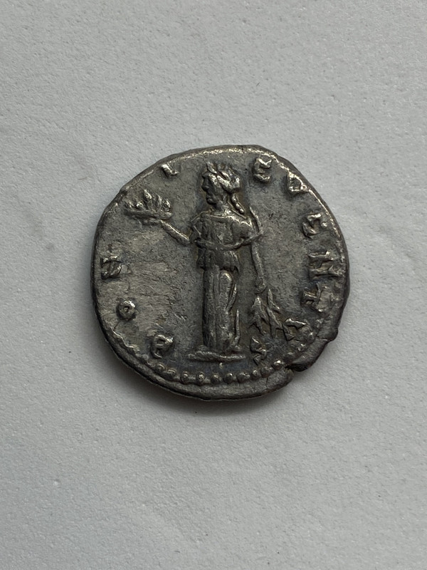 Dos denarios de Septimio Severo BONI EVENTVS y BONA SPES. Emesa 6-AA00-DBC-DA66-40-A5-BCBE-1-B3568-FE4223