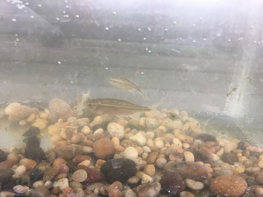 69D464B2-DFB0-4F9D-A320-8C7763C69735