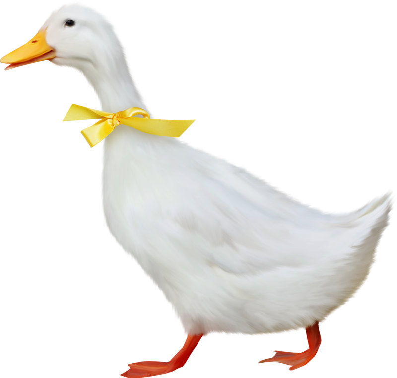 0_1c0e0e_5dd6d53f_orig