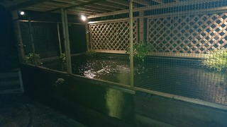 image-0-02-01-9984deb60a5add3014457290137c1694f3