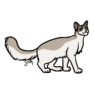 mistywillow.png