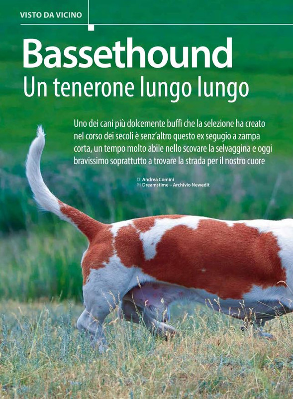 Il M C Set-Ott 2024 (3)