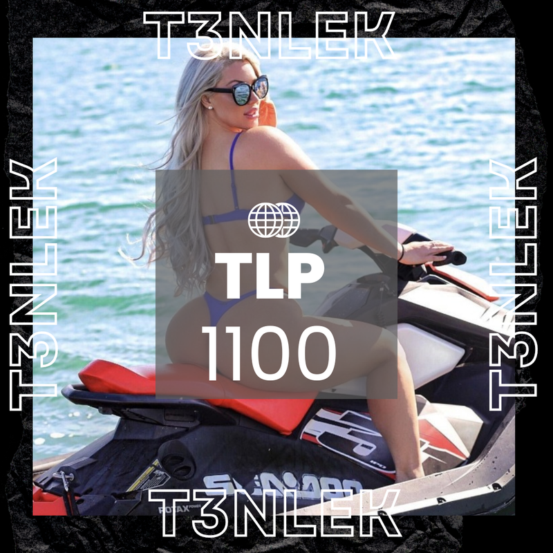 T3NLEK_20240924_151153_0000