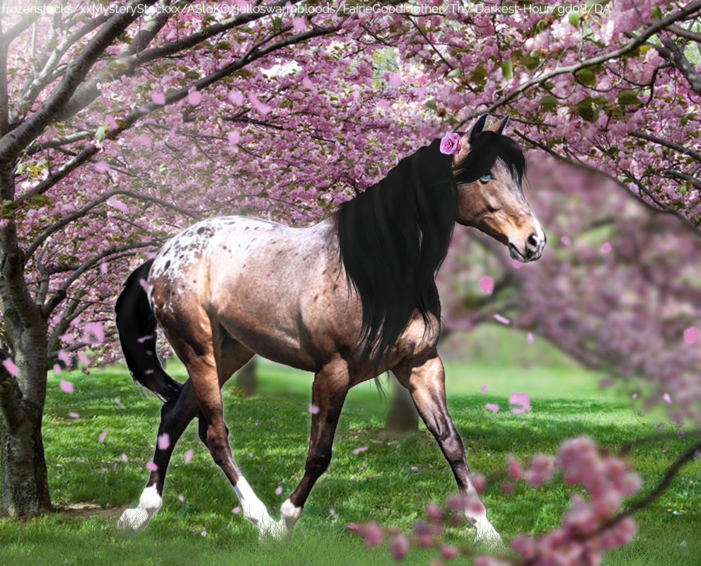 cherrytreehorse.png