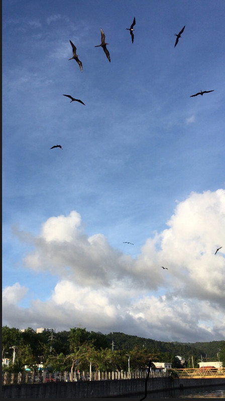 54F60388-E7BA-4B7E-8B0A-794AC0B5BC6E