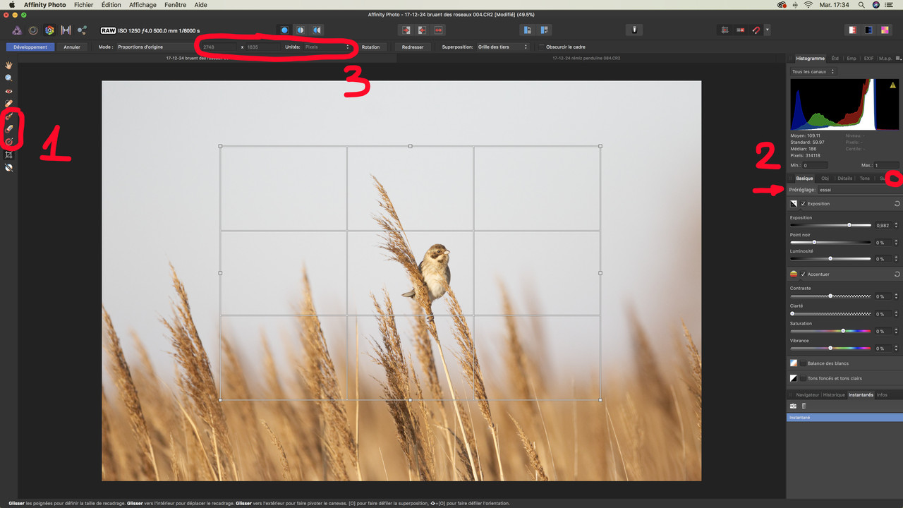 Capture d’écran 2017-12-26 ? 17.34.38