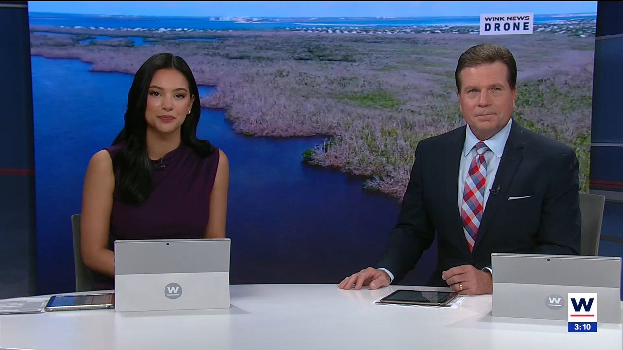 03.27 - 19.00.01 - WINK News at 3pm.   Category  News.      EPG Credi....ts_snapshot_00.10.58.902
