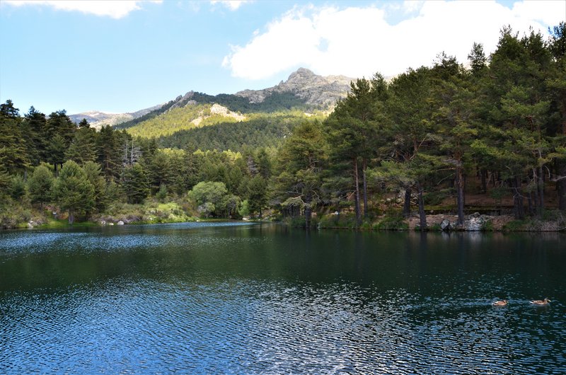 RUTA VALLE DE LA BARRANCA-6-6-2013-MADRID - Paseando por España-1991/2017 (46)