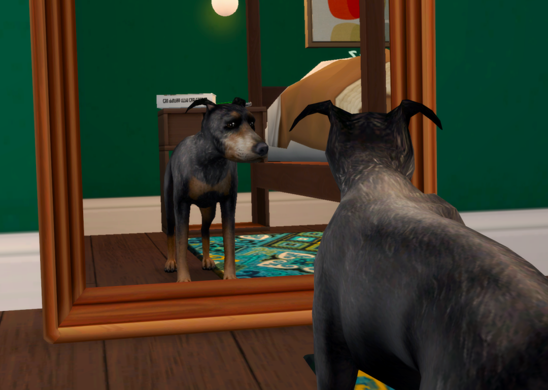 Sims2-EP9-RPC-2024-03-09-20-14-10-20