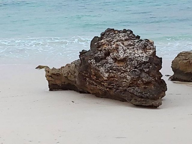 Chidas-20