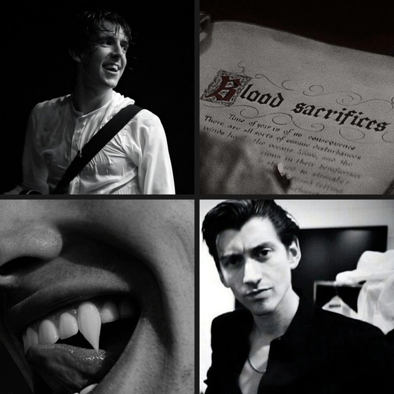 The moodboard from tumblr 4 pics