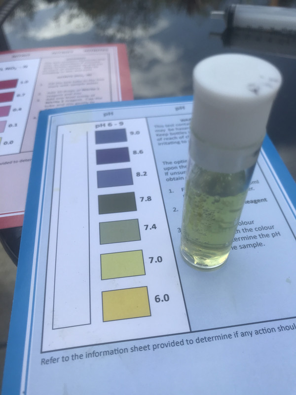 D359E00A-C26A-4D72-A2BC-0DF2E5E707EA