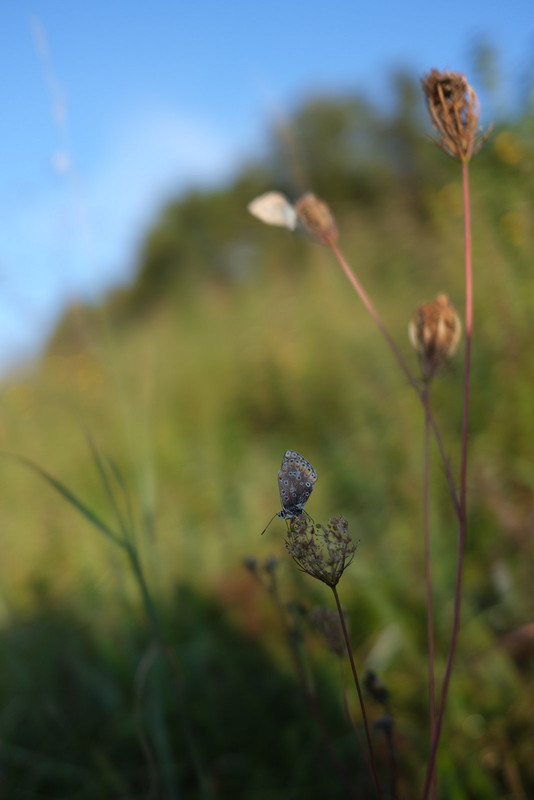 63405067-D6CC-4092-81A0-75801E23ABCC