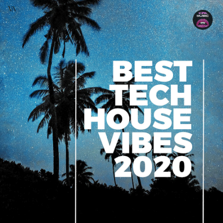 VA   Best Tech House Vibes (2020)