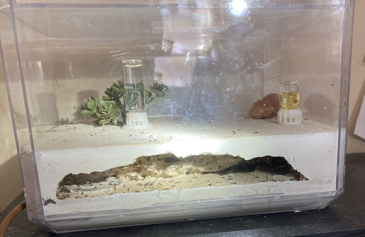 74C0F8CB-C855-4E59-AEF2-FF4A7261FF1A