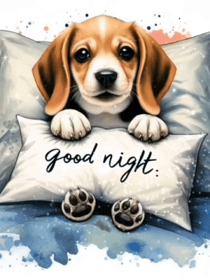 ezgif_19f84392457ba1f5