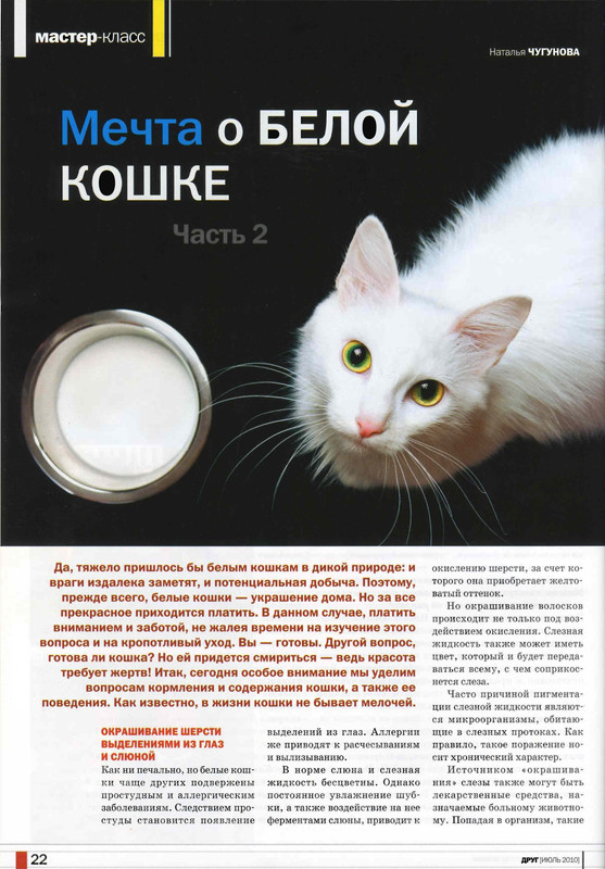 Друг кошек № 7 2010-23