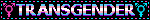 TRANSGENDER