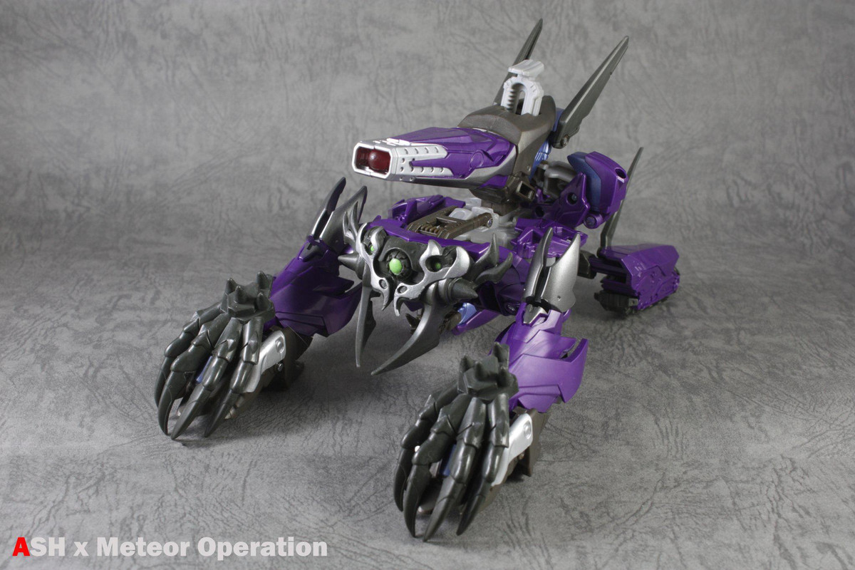 475069_321645101296235_1639191187_o