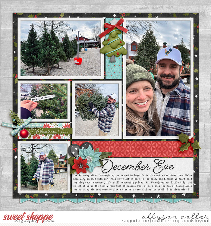 allyanne-Remember-December-01-WM.jpg