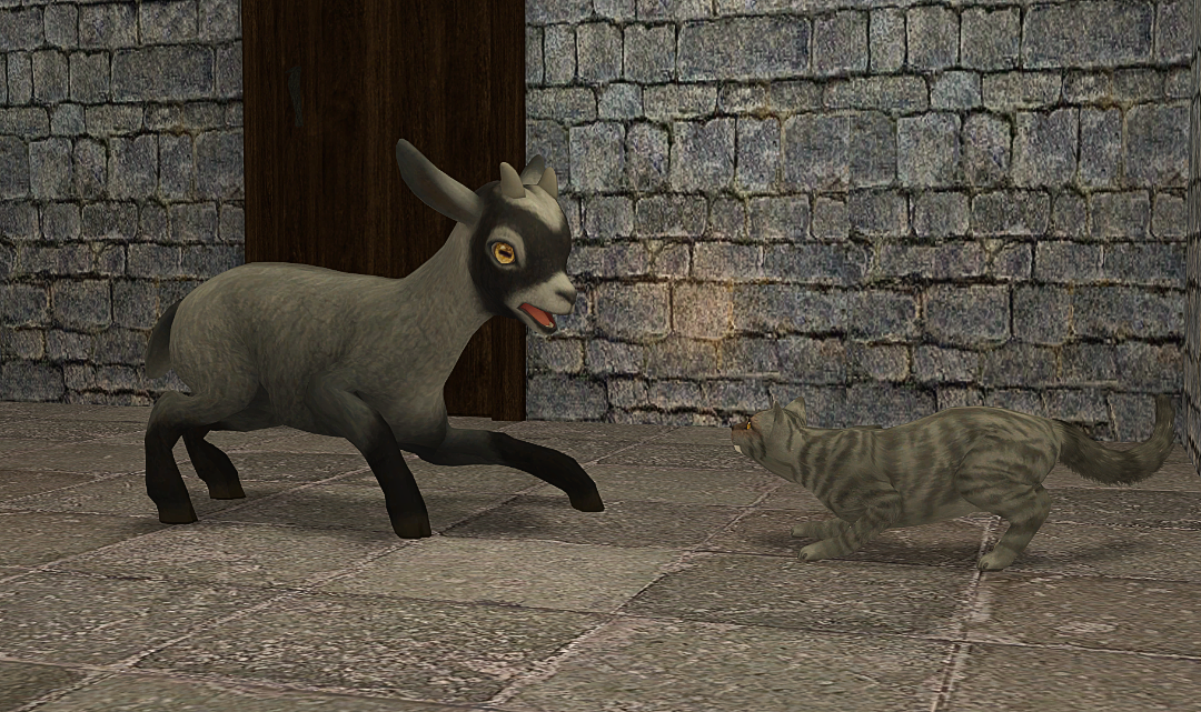 screenshot-2026-09-06-19-06