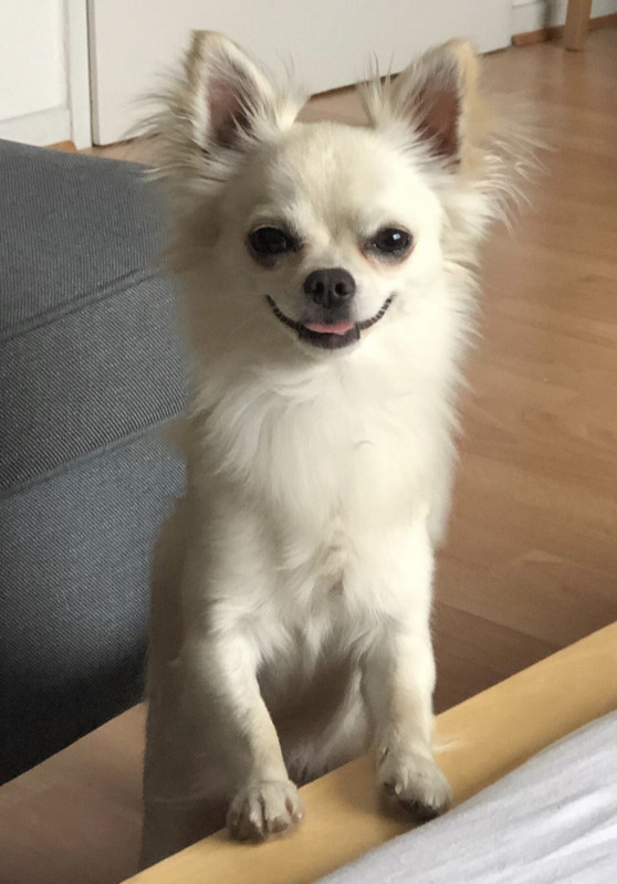 20357823-850D-49AD-887E-294D2DD6F99A