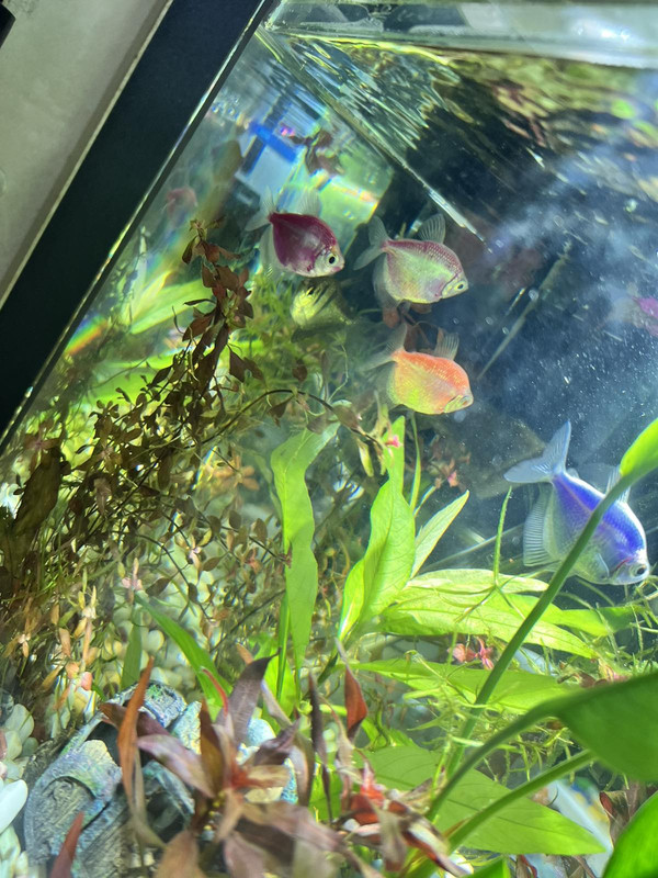 viber_изображение_2023-11-02_20-32-18-449