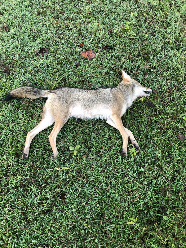 D3D1FDBA-792F-4836-AC2E-4608EAE74AAA