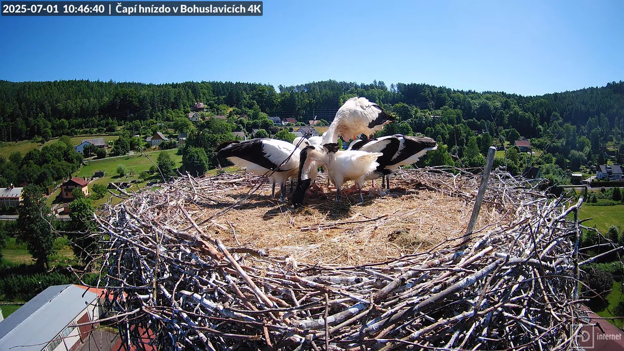 Tiešraide no KARA uzņēmuma stārķu skursteņa Bohuslavicē netālu no Trutnovas 9-23-19 screenshot