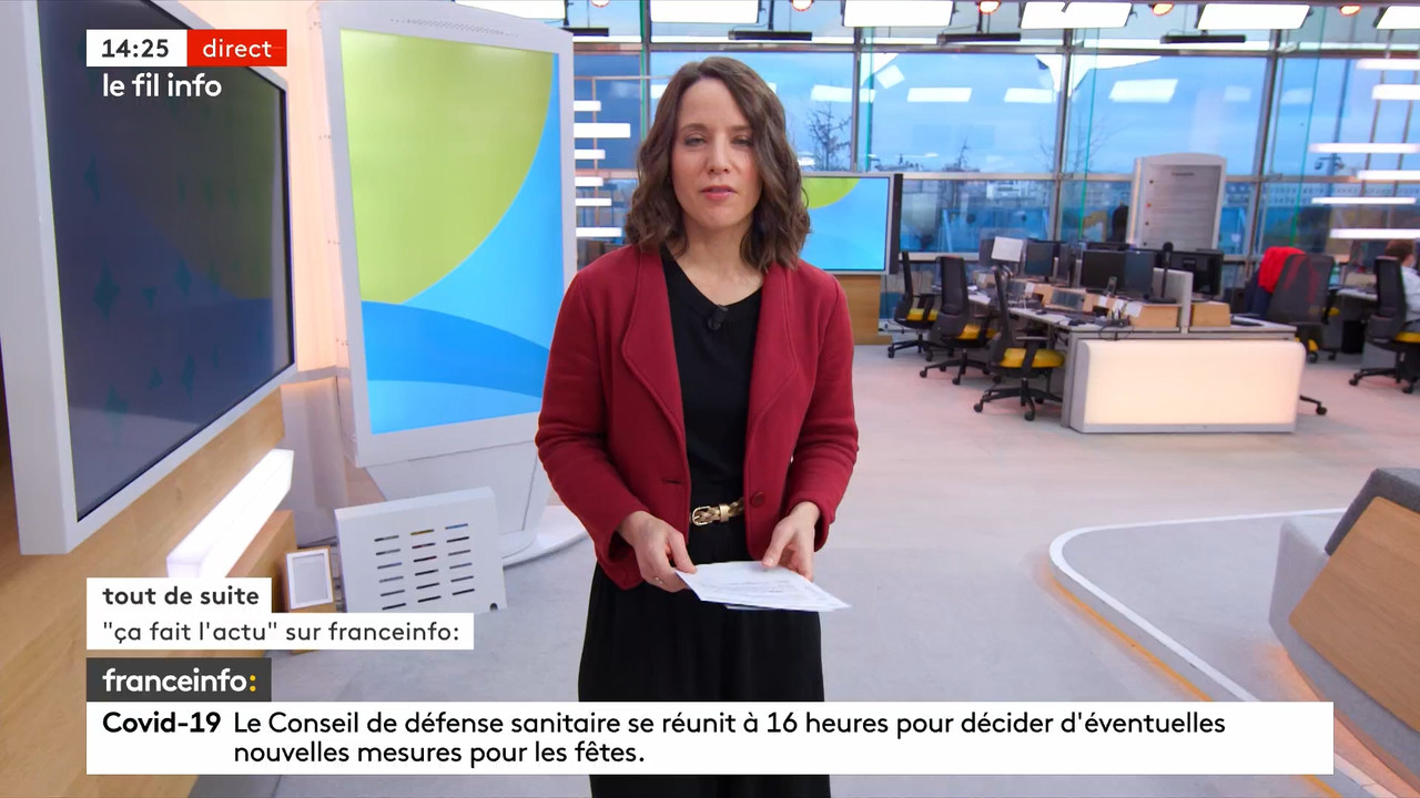 12.17 - 12.59.00 - Le fil info 14h-17h. Au sommaire   Vrai ou fake. -....ts_snapshot_29.15.606