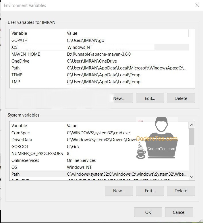 Env Variables setting