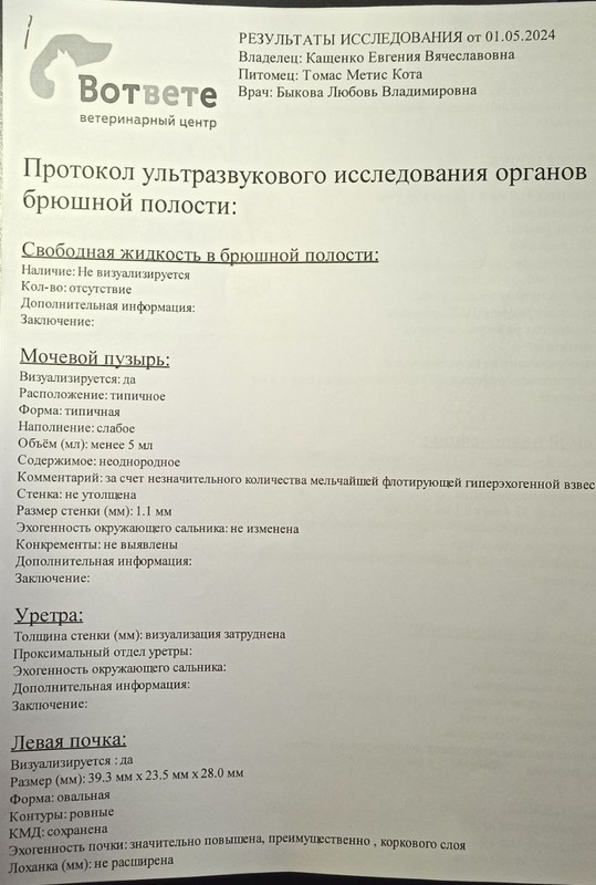 УЗИ брюшной полости 1