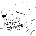 guro