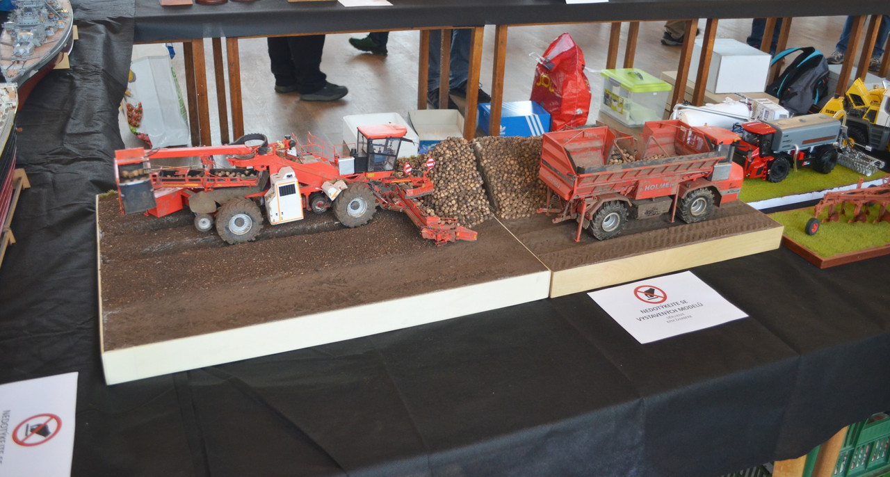 Žamberecký divočák 2019 036