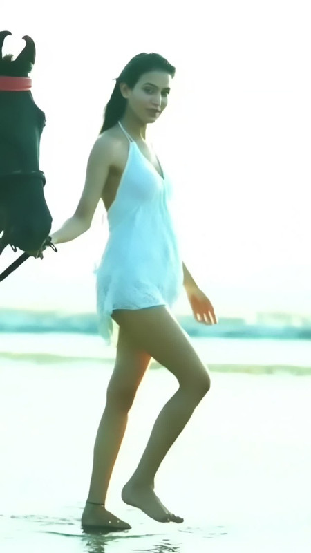 IMG_20241105_233239_060